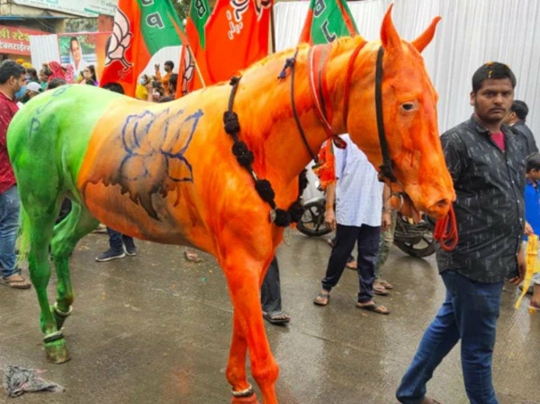 जन आशीर्वाद यात्रा में घोड़े को भाजपाई रंग में रंगा, मेनका गांधी के संगठन ने दर्ज कराया पशु क्रूरता का केस