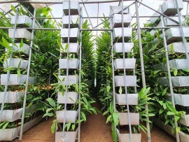 इजरायली तकनीक से सिर्फ एक एकड़ में पाएं 100 एकड़ जितनी फसल, करोड़ों की होगी आमदनी