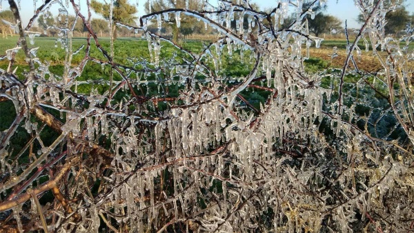 राजस्थान बना कश्मीर: शेखावाटी में श्रीनगर के बराबर पारा, रेत पर जमी बर्फ की चादर