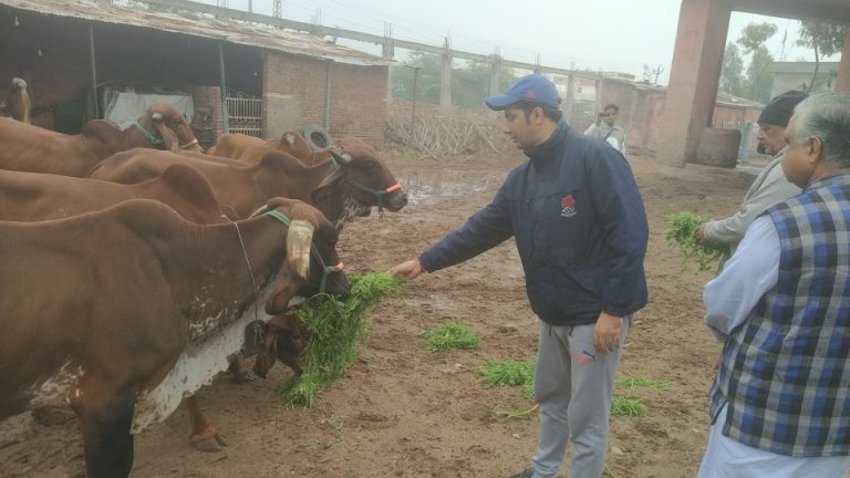 महाराव राजा रणजीत सिंह की पुण्यतिथि पर हुए कई कार्यक्रम
