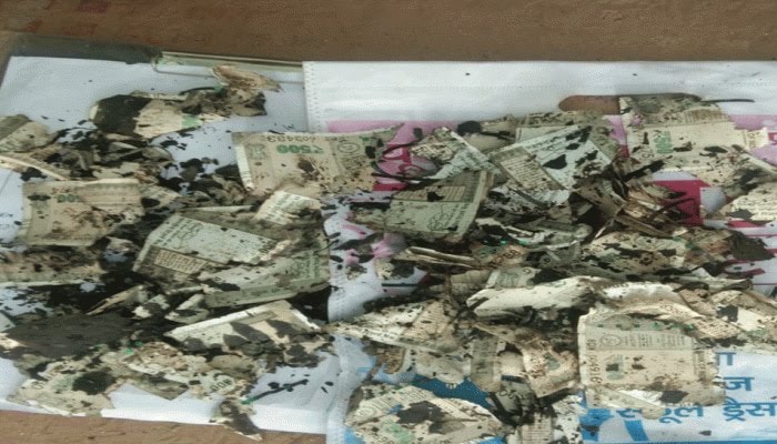 राजस्थान: गार्डन में मिले 500-500 के जले हुए नोट