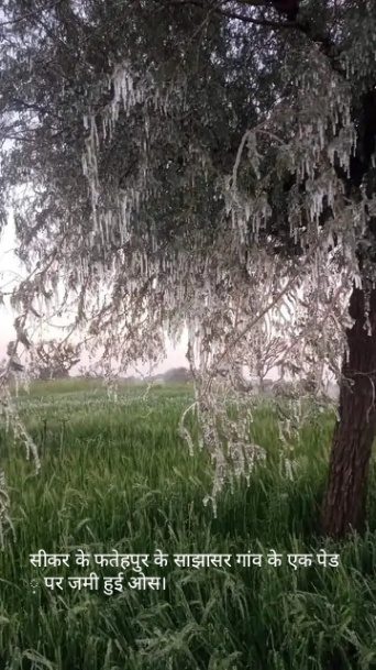 राजस्थान में अब बारिश का अलर्ट, उदयपुर में 12 साल का रिकॉर्ड टूटा, 6 से ज्यादा शहरों में जमा पाला