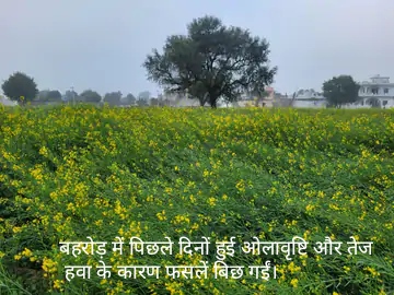 राजस्थान : अभी इतने दिन रहेगी ठिठुरन, माउंट में तापमान फिर माइनस में, कई शहरों में 6 डिग्री तक