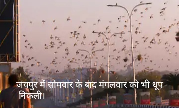 राजस्थान में एक बार फिर तेज सर्दी का अलर्ट