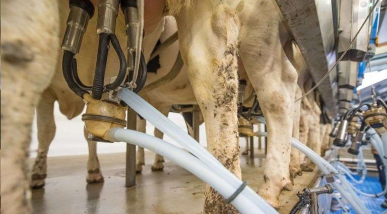 डेयरी उद्योग सम्मेलन और एक्सपो में नीति आयोग के सदस्य रमेश चंद ने दी बहुत बड़ी जानकारियां, दी अहम सलाह