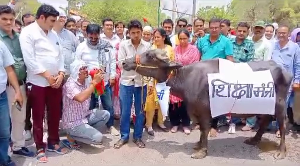 शिक्षा निदेशालय के सामने भैंस के आगे बीन बजाकर सरकार को दिया संदेश, कल से जयपुर कूच (वीडियो)