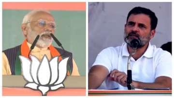 पीएम मोदी ने चुनावी मंच से राहुल गांधी को कहा ‘मूर्खों का सरदार’, जानिए इसका कारण