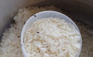 चावल में हो गए हैं कीड़े तो डिब्बे में रख दें ये पत्तियां, निकल भागेंगे सारे कीड़े