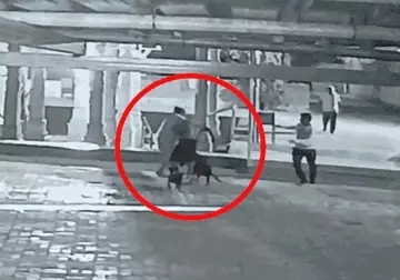 मंदिर में महंत पर चाकू से ताबड़तोड़ वार, कुत्तों के साथ आए साधु वेशधारी व्यक्ति ने किया हमला, कम्बल में छुपाकर लाया था हथियार