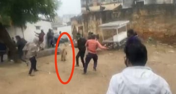 राजस्थान: वन मंत्री के घर के पास पहुंच गया लेपर्ड, लोगों में मचा हड़कम्प, वन विभाग ने किया रेस्क्यू, एक महीने से घुसा हुआ था शहर में