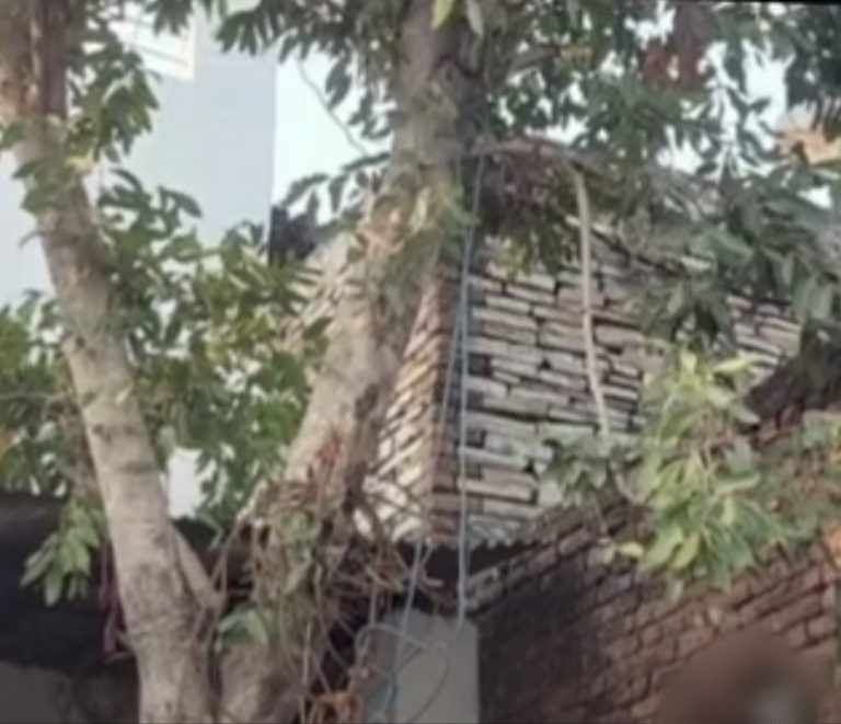 पेड़ पर झूला झूलते समय गले में फंदा लग गया, 11 वर्षीय बच्ची की मौत