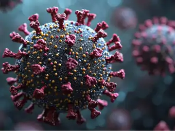 चीन में फैले कोरोना जैसे एचएमपी वायरस का राजस्थान में दूसरा केस, हाड़ोती में मिला है नया मामला, एक्सपर्ट ने कहा-डरने की जरूरत नहीं