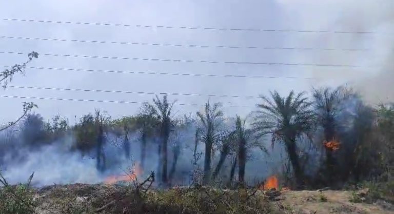 कोटा: अचानक धधक उठी आग, 6 घंटे की मशक्कत के बाद पाया जा सका काबू, क्षेत्रवासियों का आरोप: भू-माफिया जमीन हड़पने के लिए करते हैं आगजनी (वीडियो)