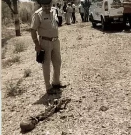जिस कंकाल को चबा रहे थे कुत्ते, वह 8 दिन से लापता बुजुर्ग का निकला, कुछ दिन पहले बेची थी जमीन, हत्या की आशंका