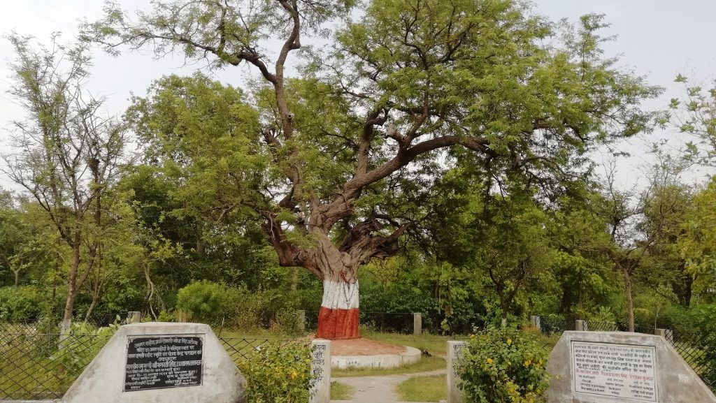 बावनी इमली: इमली का वह पेड़ जिस पर अंग्रेजों ने एक साथ 52 क्रांतिकारियों को लटका दिया था फांसी पर, इतिहास के पन्नों से गायब क्यों?