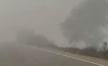 राजस्थान:  बारिश के साथ ओले गिरे, जैसलमेर में गाड़ियों पर जमी बर्फ, शीतलहर से बढ़ी सर्दी, 25 जिलों में स्कूल बंद रहे