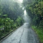 weather-effects-composition_23-2149853295 (1)
