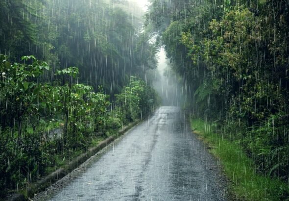 weather-effects-composition_23-2149853295 (1)