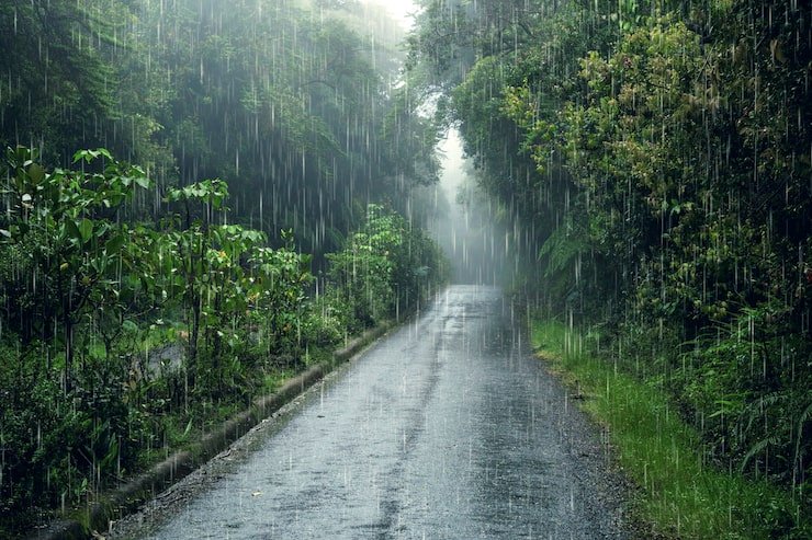 weather-effects-composition_23-2149853295 (1)